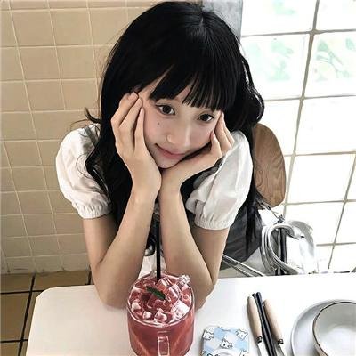 飞贼白菊花