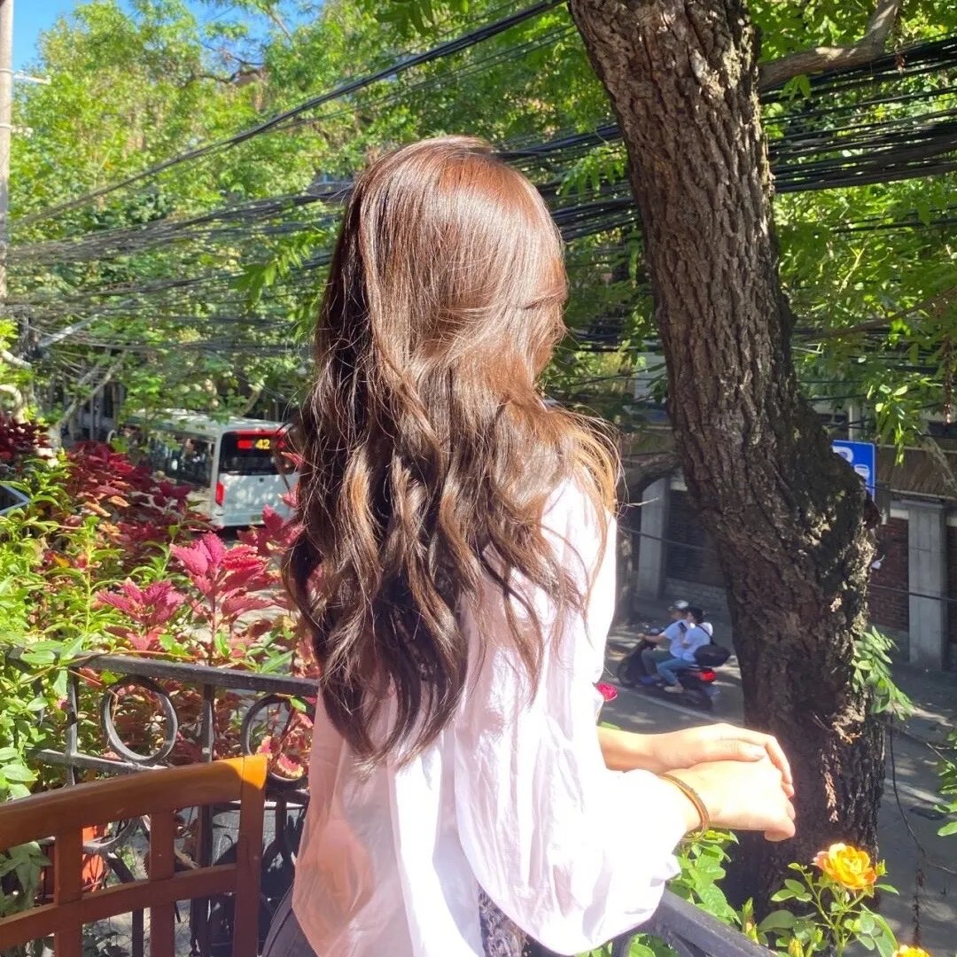折翼鸟