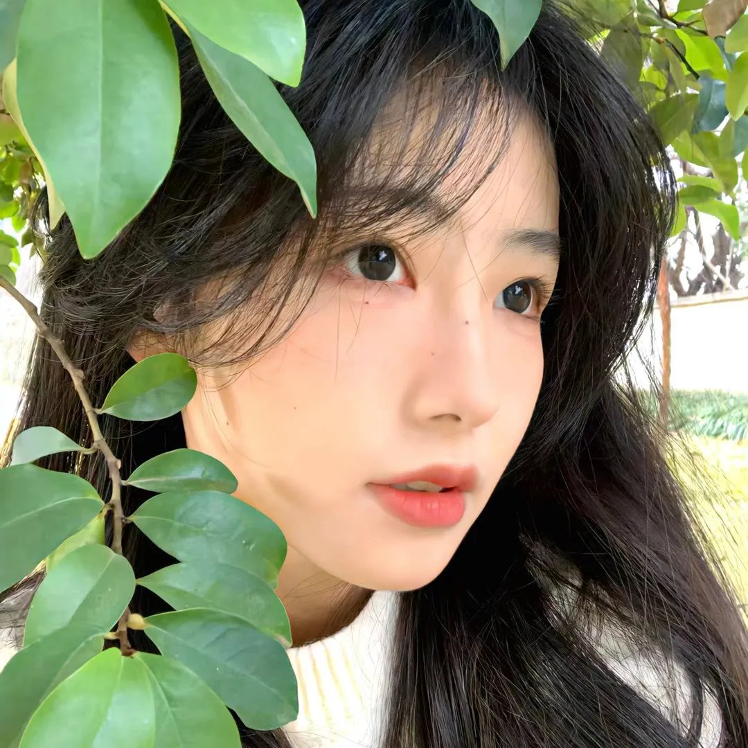 蔷薇处处香